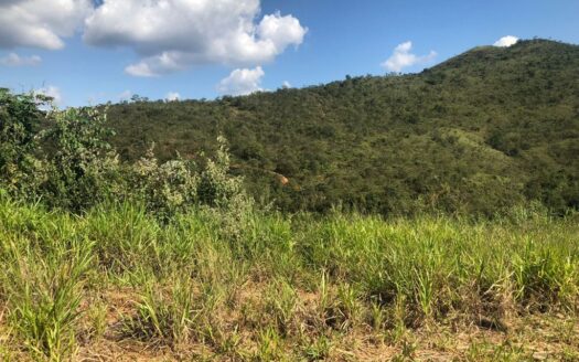 Lote em condomínio à Venda | Vila Del Rey Anexo | Vila Del Rey | Nova Lima.