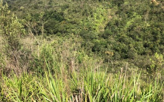 Lote em condomínio à Venda | Vila Del Rey Anexo | Vila Del Rey | Nova Lima.