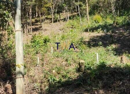 Lote em condomínio à Venda | Veredas das Geraes | Veredas das Gerais | Nova Lima.